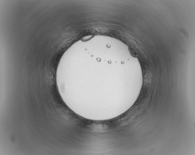 X0000115840464200912111336