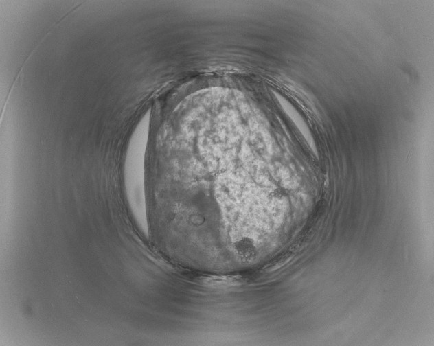 X0000115840465200912111336