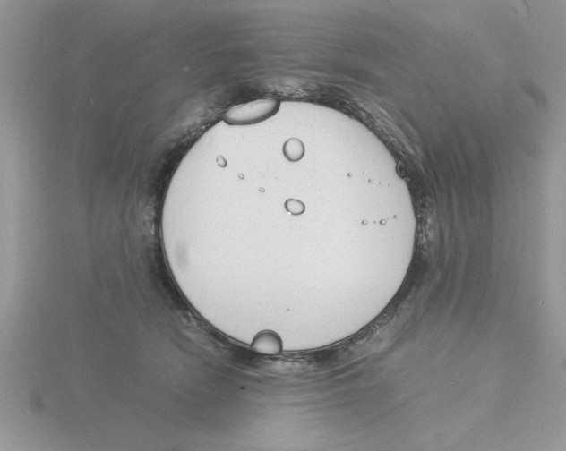 X0000115840466200912111337