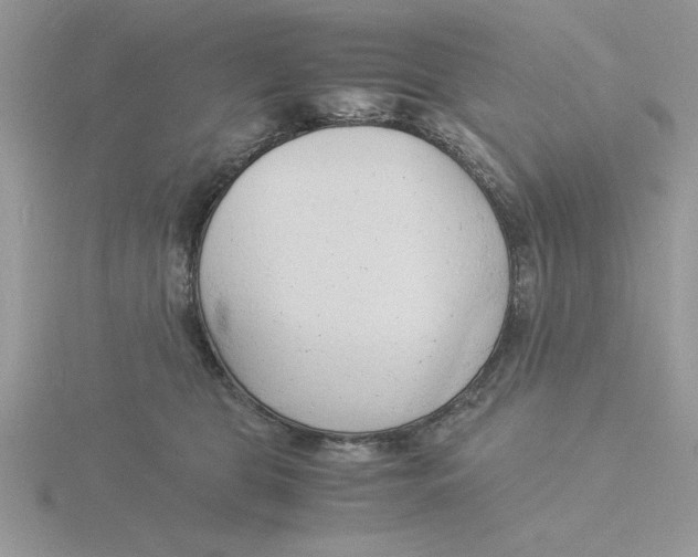 X0000115840469200912111337