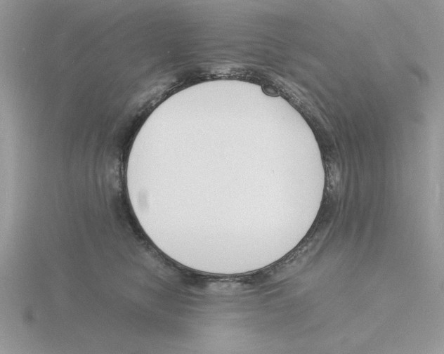 X0000115840470200912111337