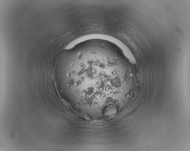 X0000115840471200912111337