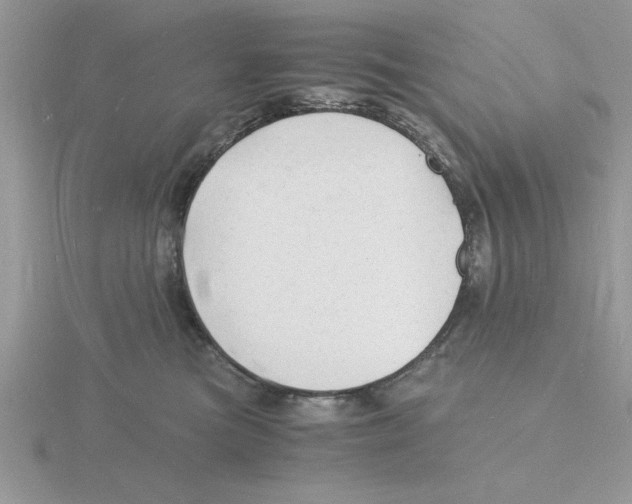 X0000115840473200912111337