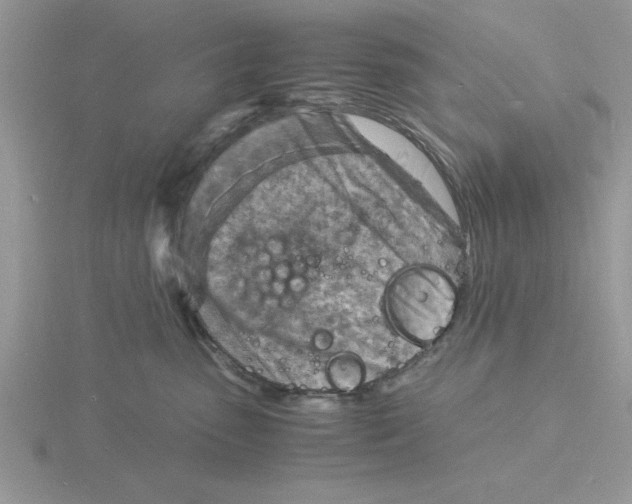 X0000115840475200912111337