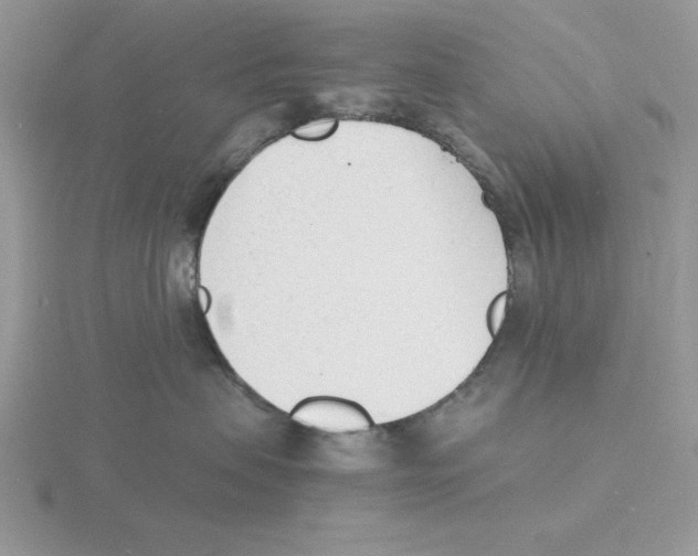 X0000115840479200912111337