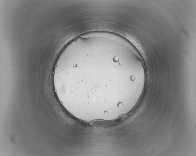 X0000115840481200912111336