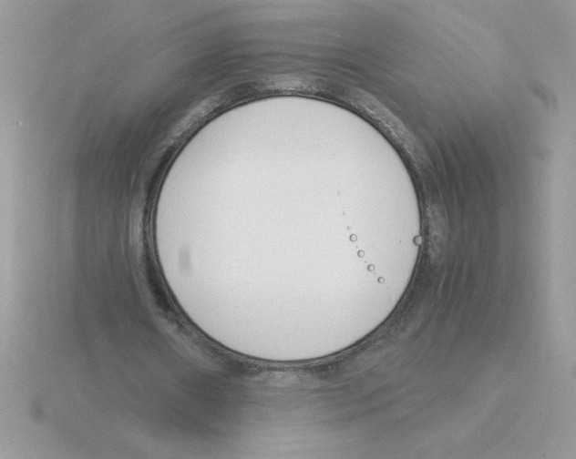 X0000115840482200912111336