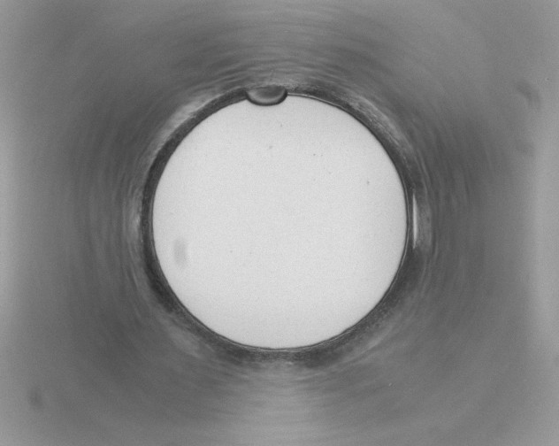 X0000115840483200912111336