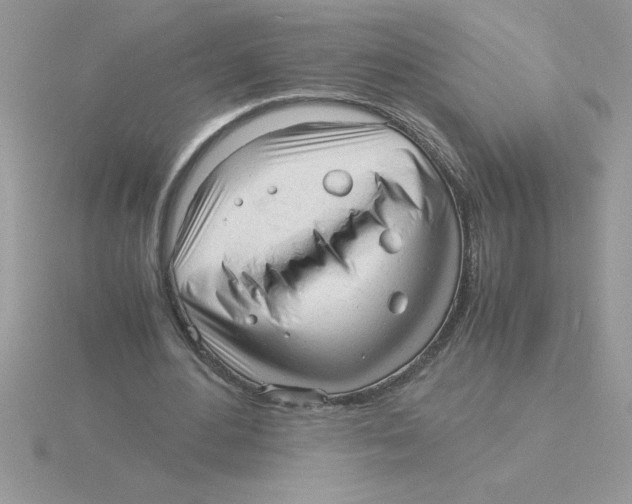 X0000115840484200912111336