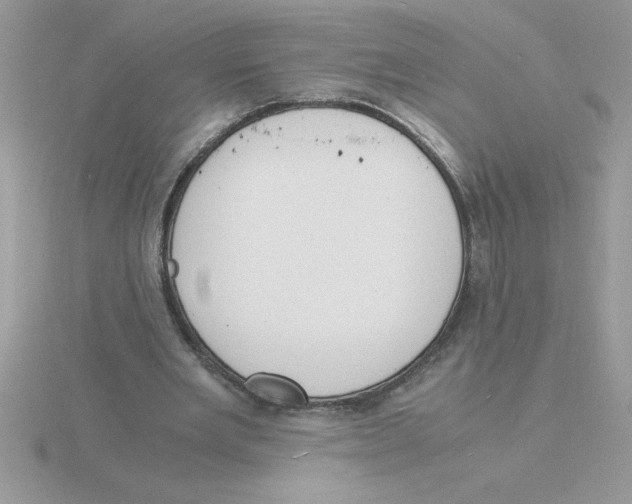 X0000115840485200912111336