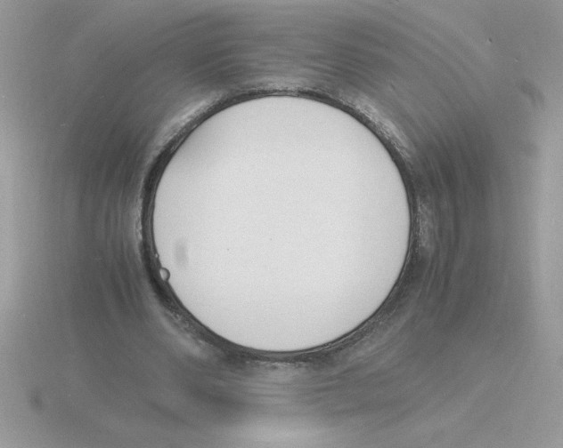 X0000115840486200912111336