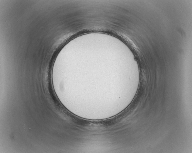 X0000115840487200912111336