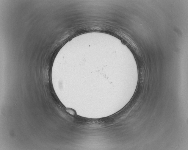 X0000115840489200912111336