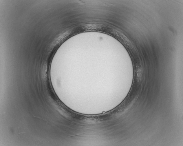 X0000115840490200912111336