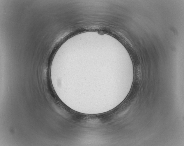 X0000115840491200912111336