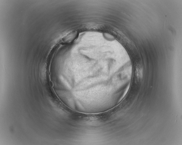 X0000115840492200912111336