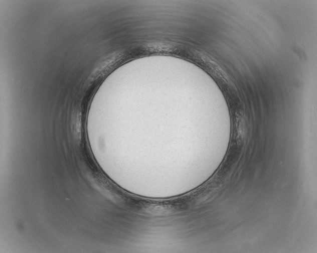 X0000115840494200912111336