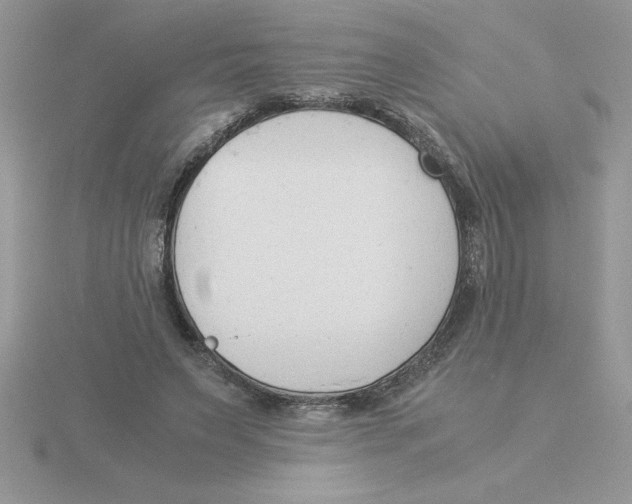 X0000115840495200912111336