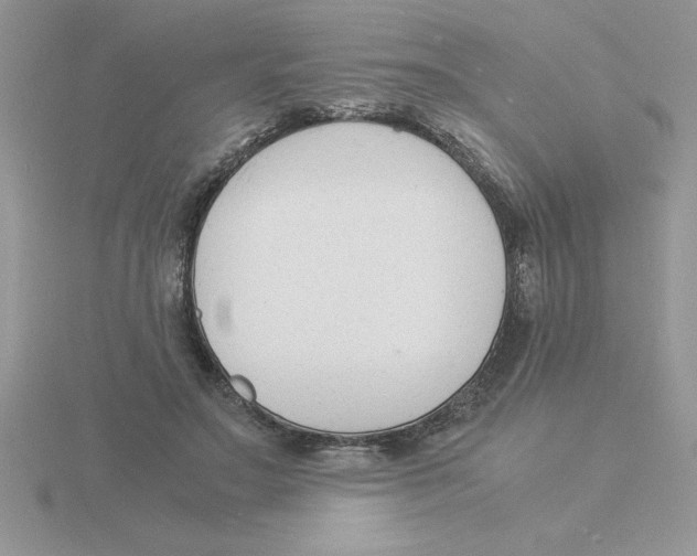 X0000115840499200912111336