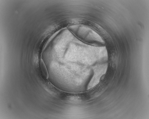 X0000115840500200912111336