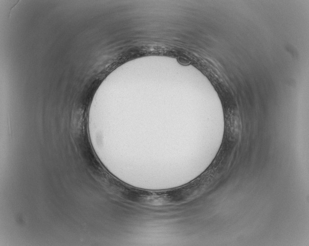 X0000115840511200912111335