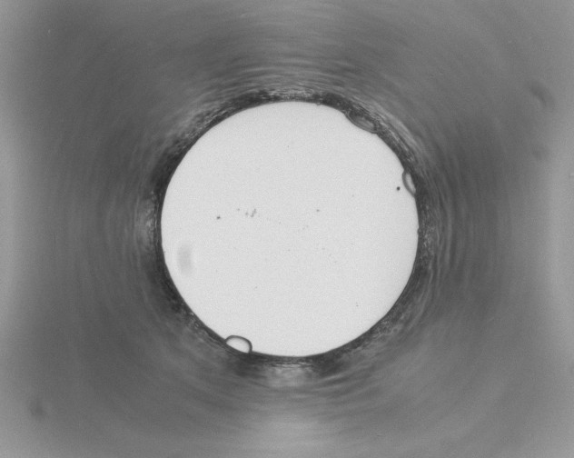 X0000115840513200912111335