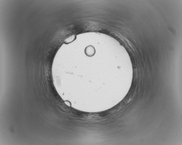 X0000115840517200912111335