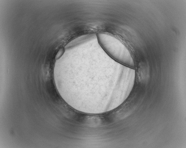 X0000115840520200912111335