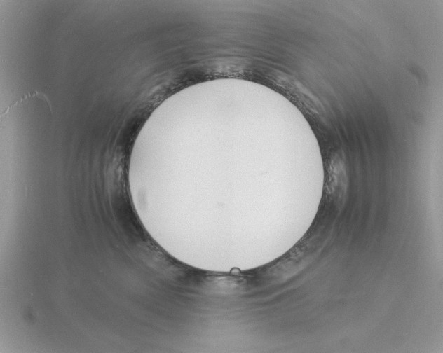 X0000115840522200912111335