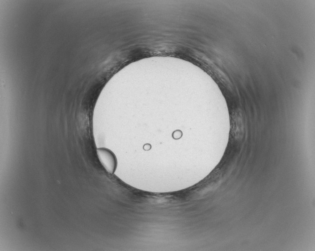 X0000115840523200912111335