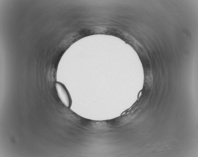 X0000115840525200912111335