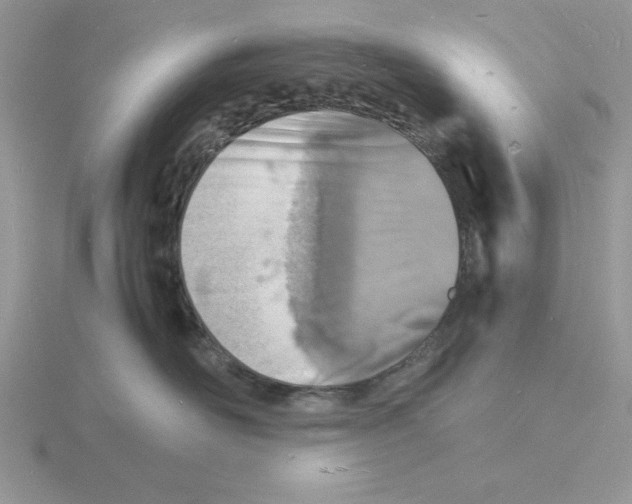 X0000115840526200912111335