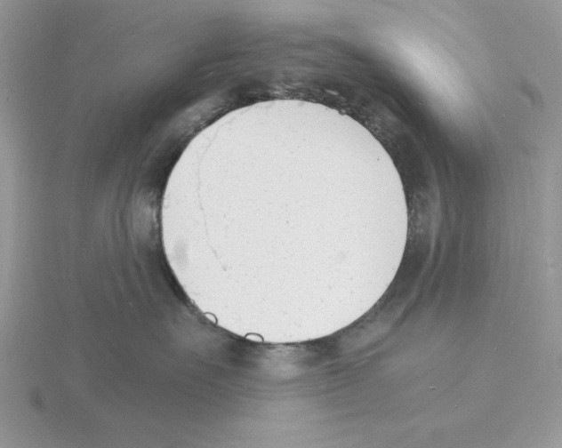 X0000115840527200912111335