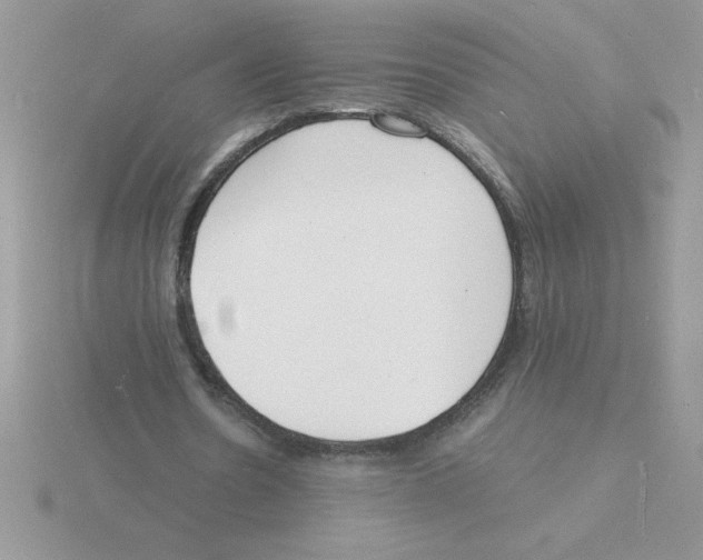 X0000115840530200912111334