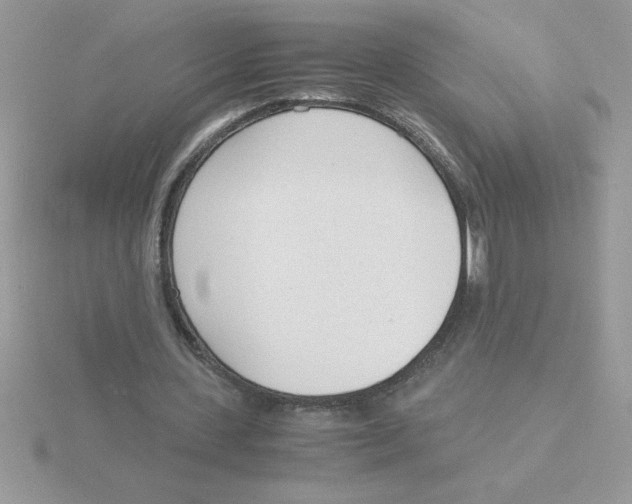 X0000115840531200912111334