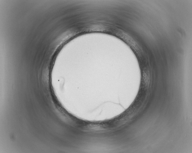 X0000115840534200912111334