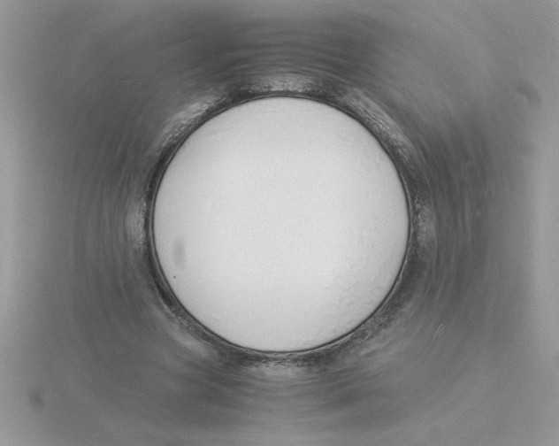 X0000115840537200912111334