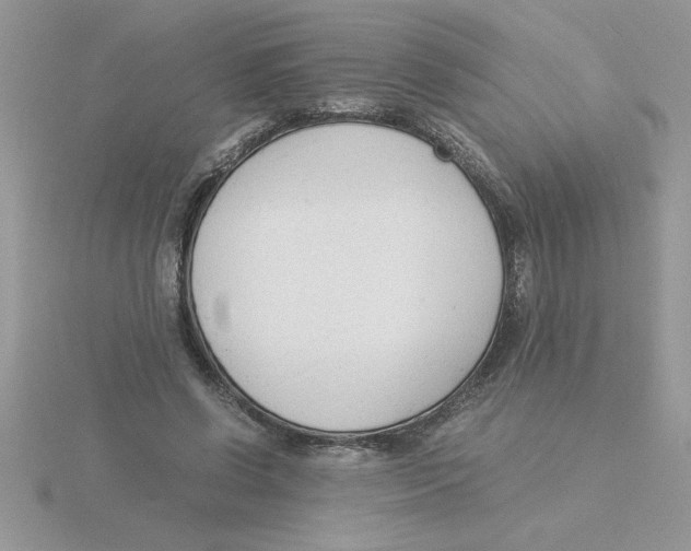 X0000115840542200912111335