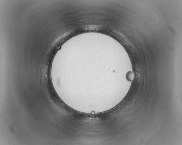 X0000115840543200912111335