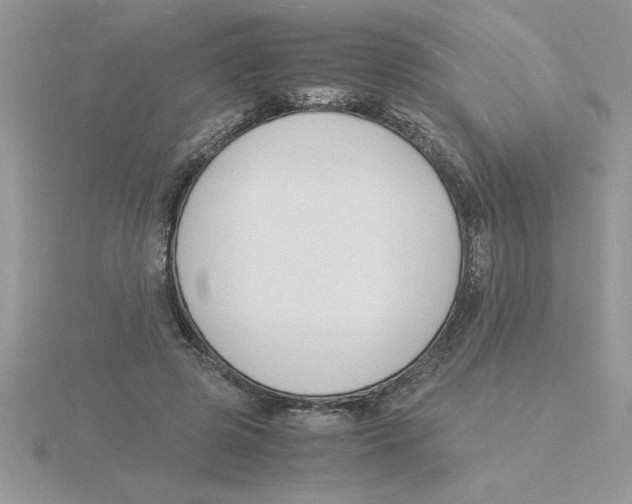 X0000115840545200912111335