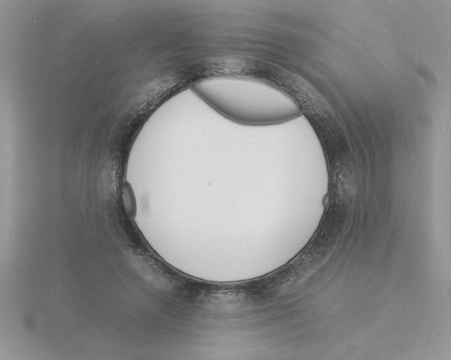 X0000115840546200912111335