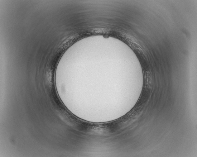 X0000115840550200912111335