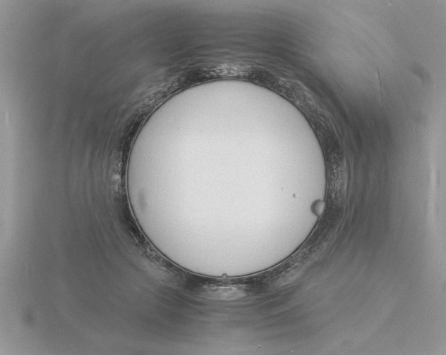 X0000115840553200912111335