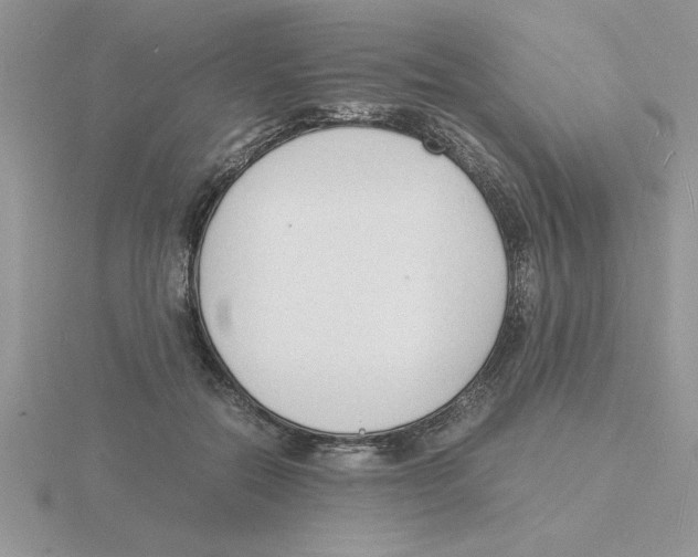 X0000115840554200912111335