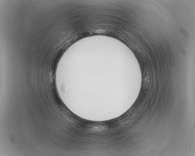 X0000115840555200912111335