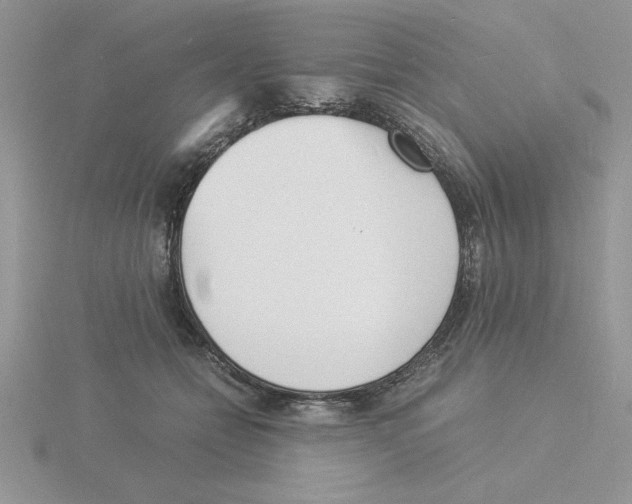 X0000115840558200912111335