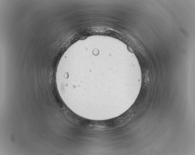 X0000115840559200912111335