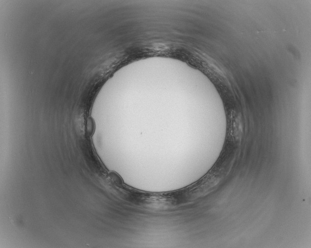 X0000115840562200912111335