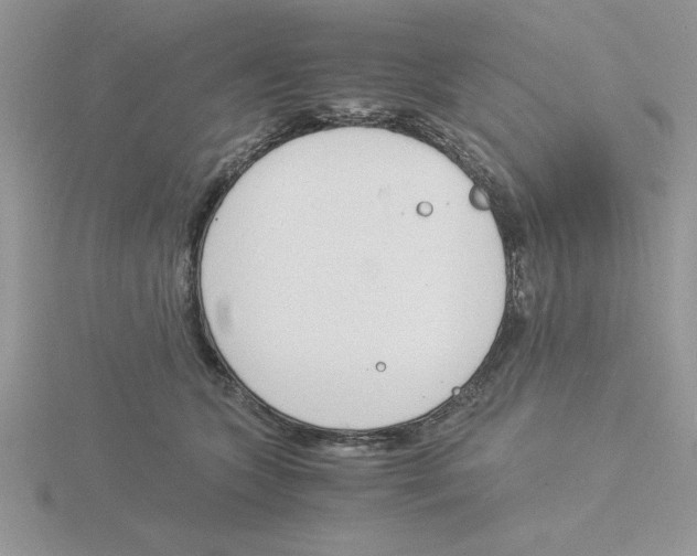 X0000115840563200912111335