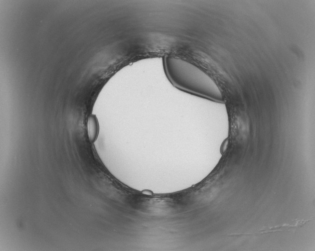 X0000115840566200912111335